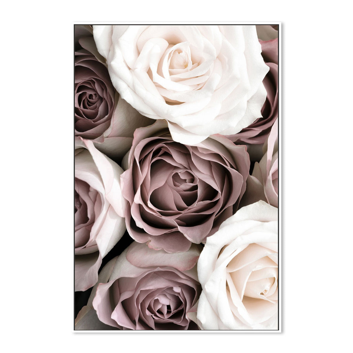 Roses-Gioia-Prints-Framed-Canvas-Poster-GIOIA-WALL-ART