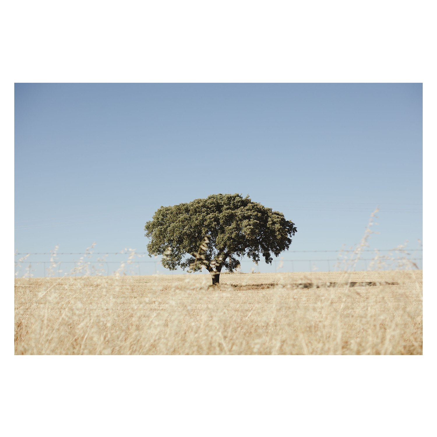 wall-art-print-canvas-poster-framed-Rustic Landscape , By Hello Twiggs-1