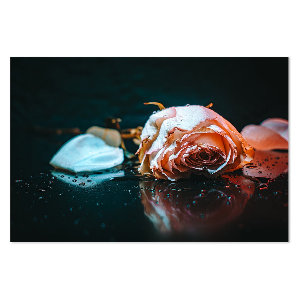 Sad Rose, by Yahia Alsharif-Framed-Canvas-Print-Poster-Gioia Wall Art