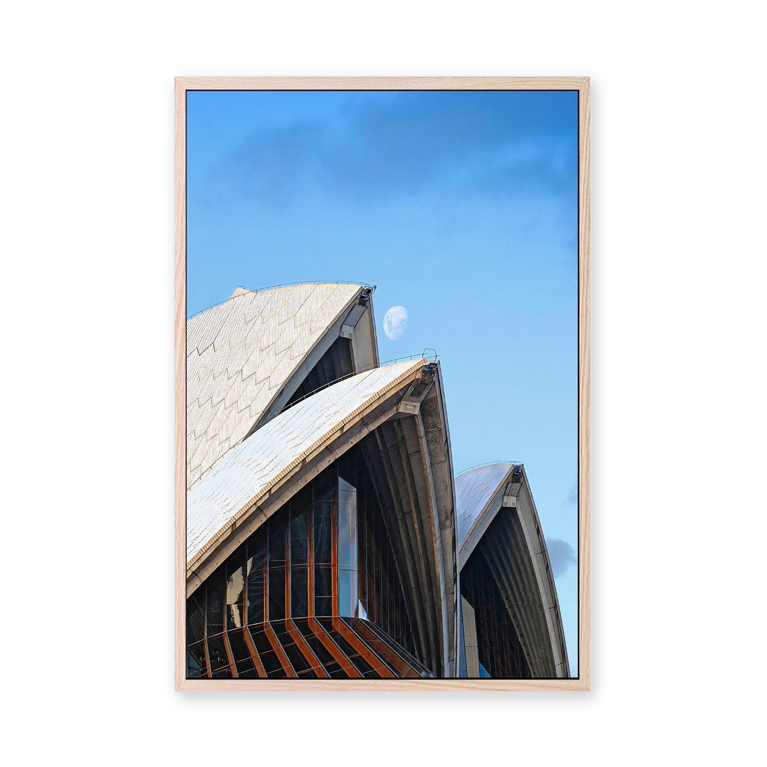 wall-art-print-canvas-poster-framed-Sails Up , By Max Lissendon-GIOIA-WALL-ART