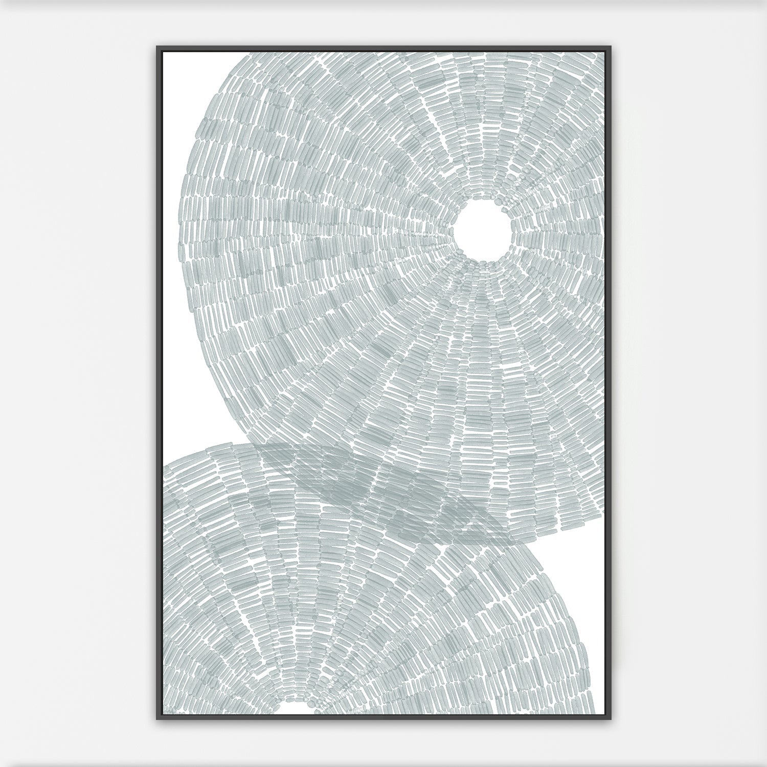 wall-art-print-canvas-poster-framed-Salty Sea Urchin Shell , By Jetty Home , By Jetty Home-3
