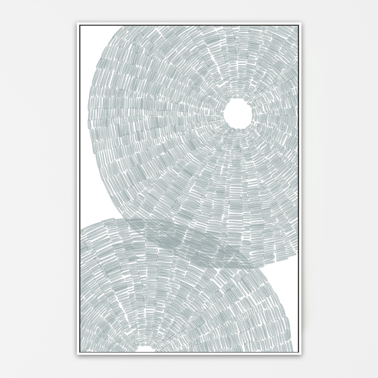 wall-art-print-canvas-poster-framed-Salty Sea Urchin Shell , By Jetty Home , By Jetty Home-5