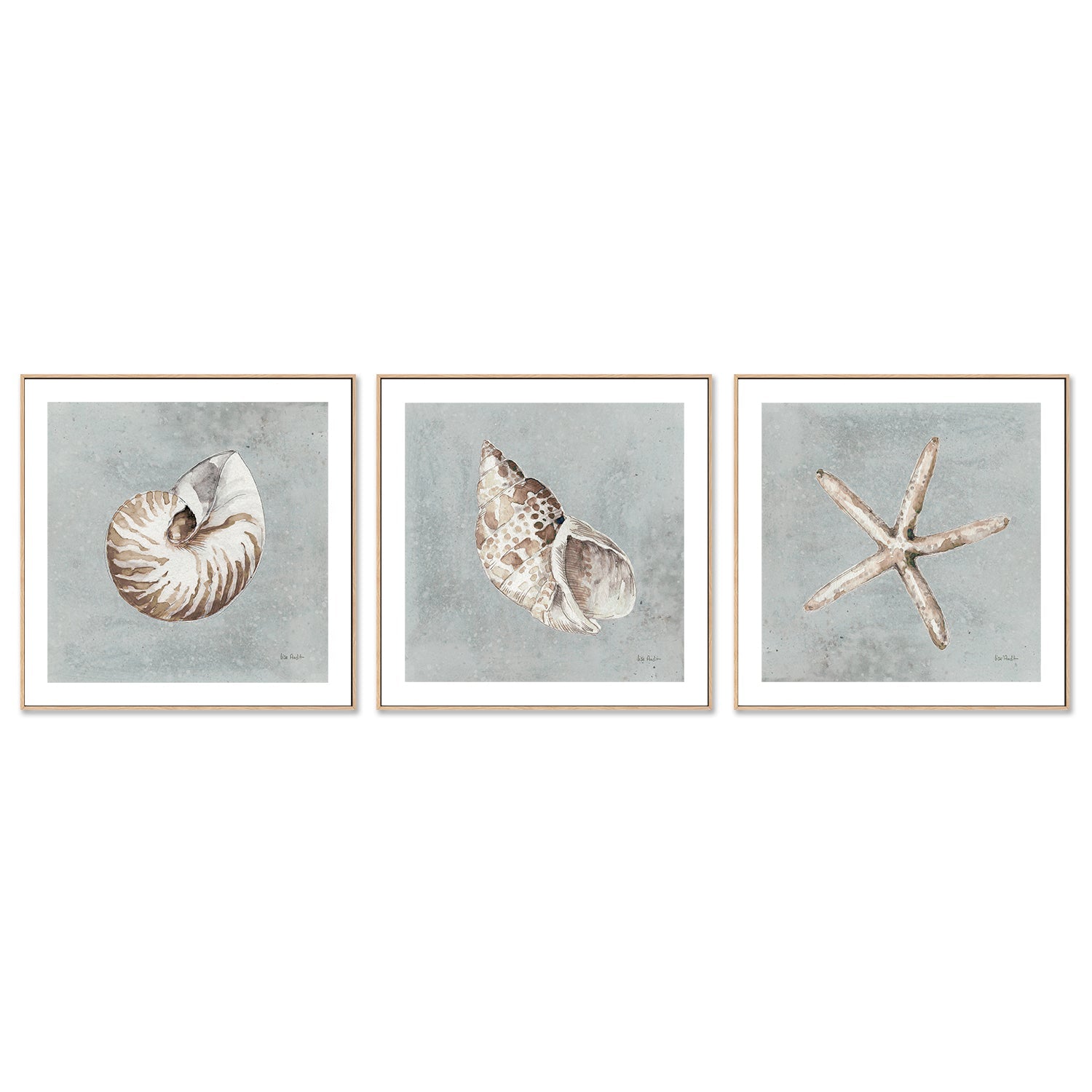 wall-art-print-canvas-poster-framed-Sand And Seashells, Style A, B & C, Set Of 3 , By Lisa Audit-GIOIA-WALL-ART