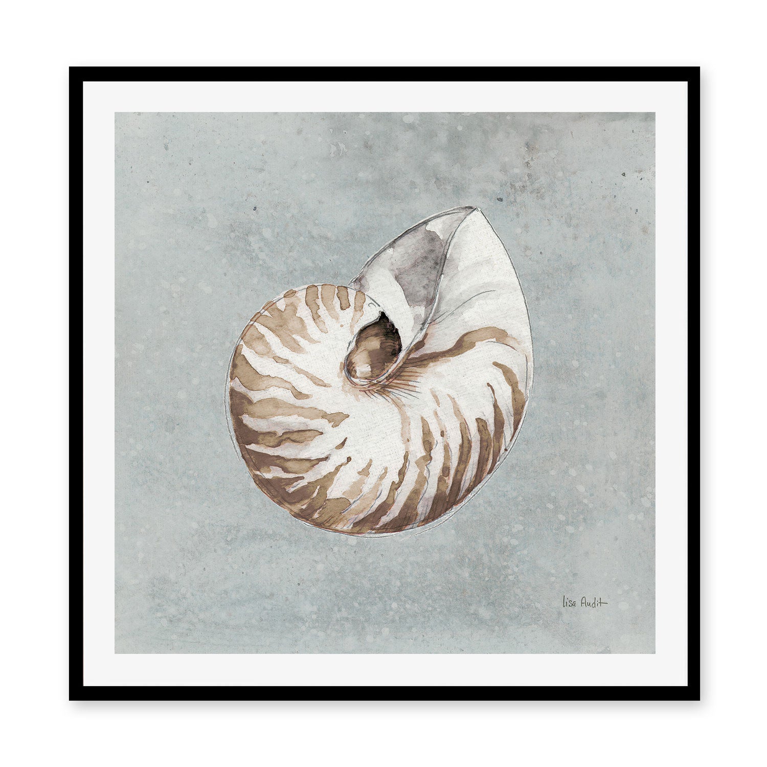 wall-art-print-canvas-poster-framed-Sand And Seashells, Style A , By Lisa Audit-GIOIA-WALL-ART