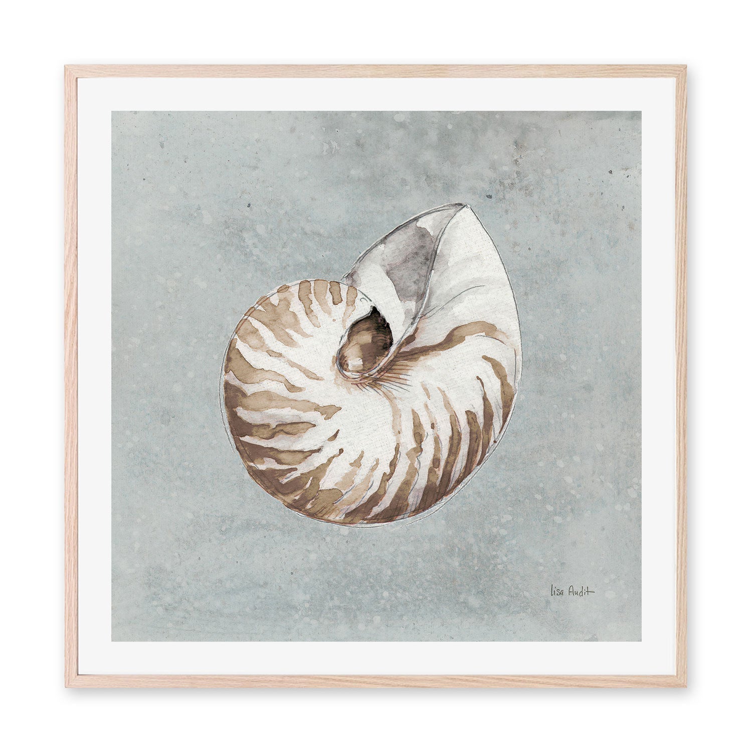 wall-art-print-canvas-poster-framed-Sand And Seashells, Style A , By Lisa Audit-GIOIA-WALL-ART
