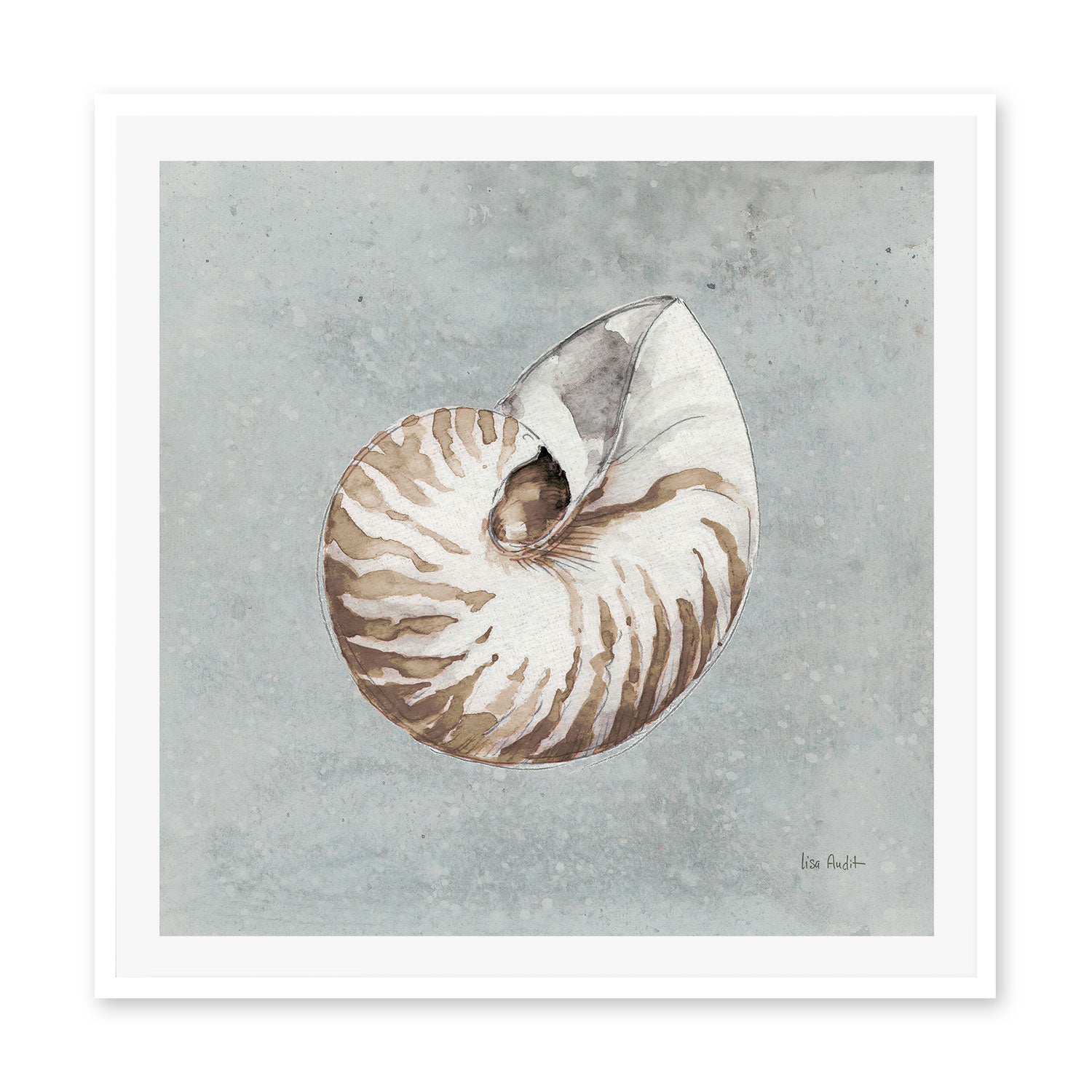 wall-art-print-canvas-poster-framed-Sand And Seashells, Style A , By Lisa Audit-GIOIA-WALL-ART