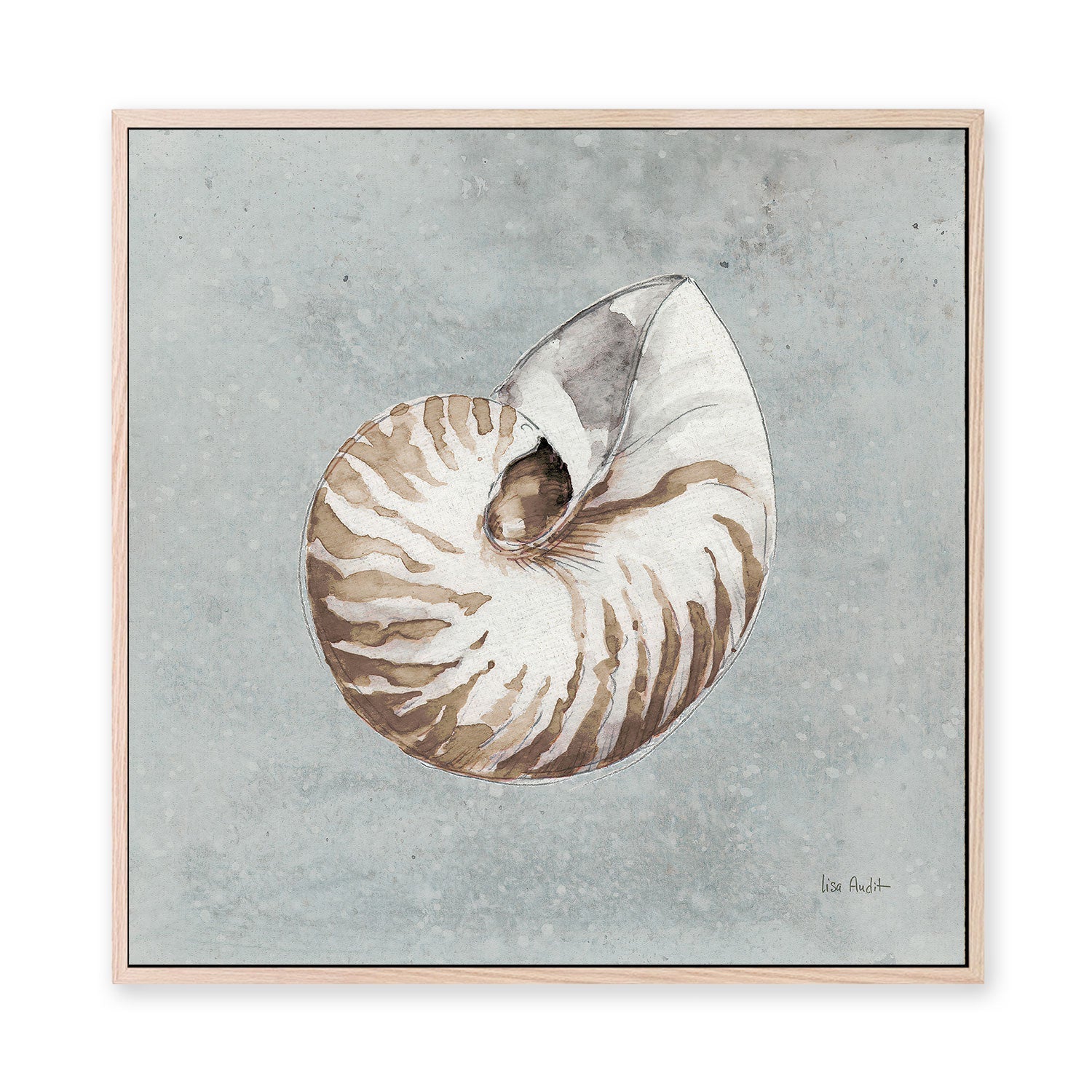 wall-art-print-canvas-poster-framed-Sand And Seashells, Style A , By Lisa Audit-GIOIA-WALL-ART