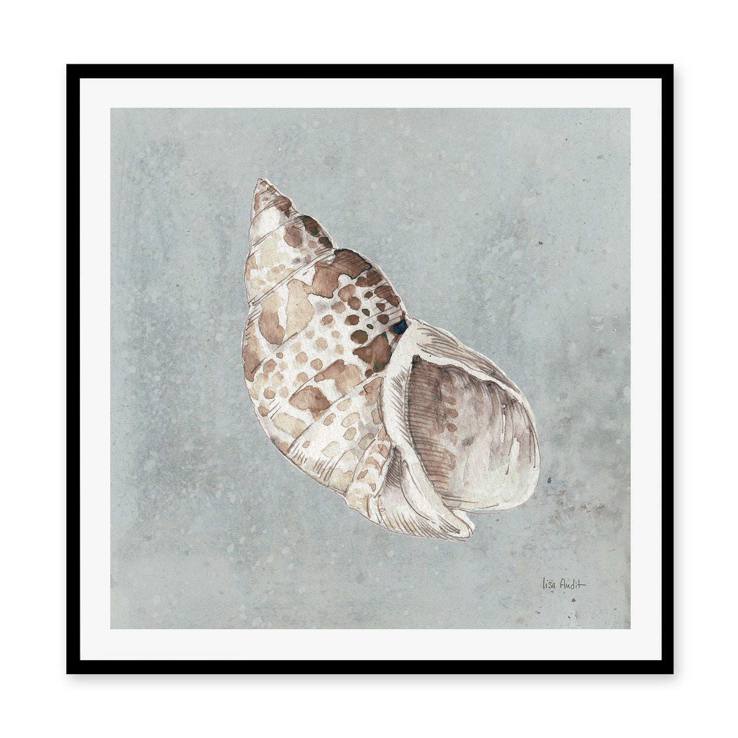 wall-art-print-canvas-poster-framed-Sand And Seashells, Style B , By Lisa Audit-GIOIA-WALL-ART