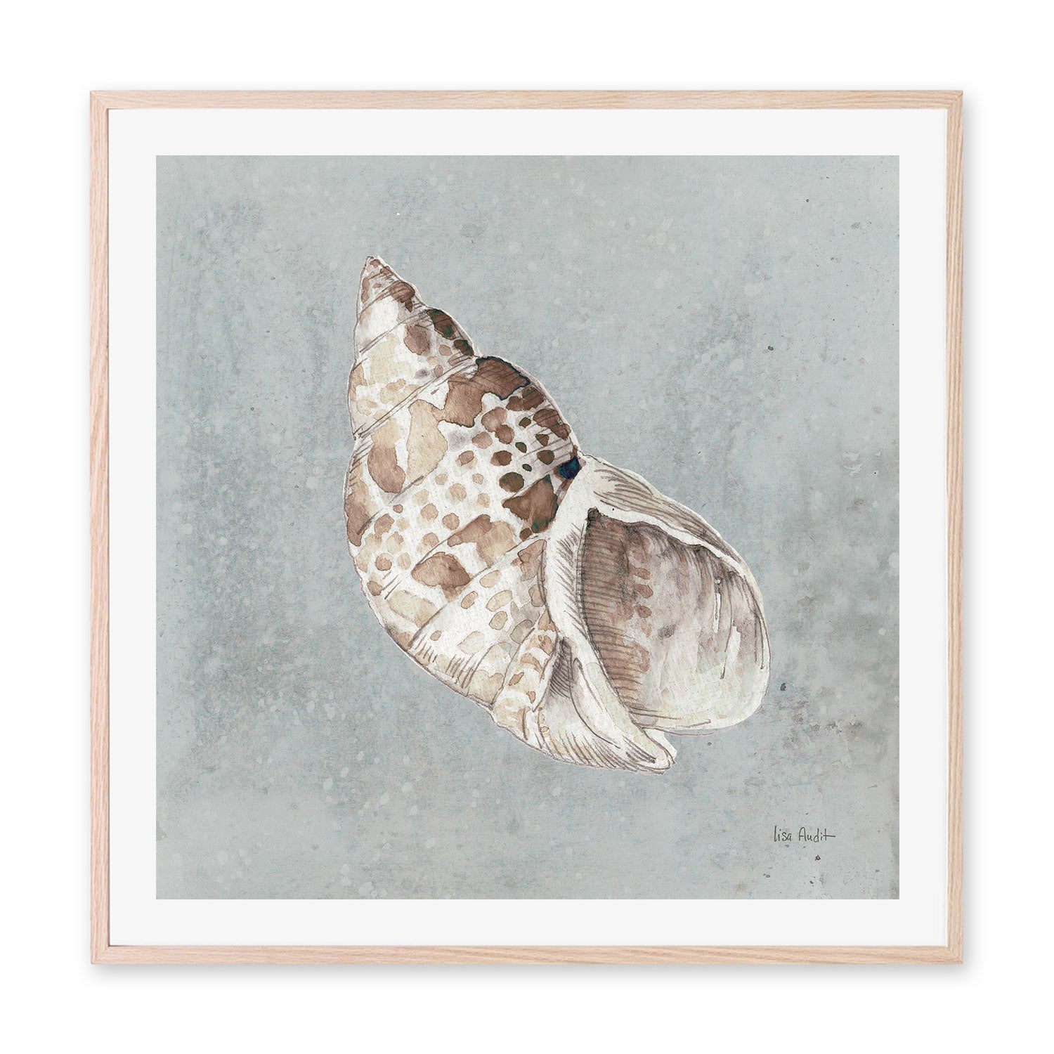 wall-art-print-canvas-poster-framed-Sand And Seashells, Style B , By Lisa Audit-GIOIA-WALL-ART