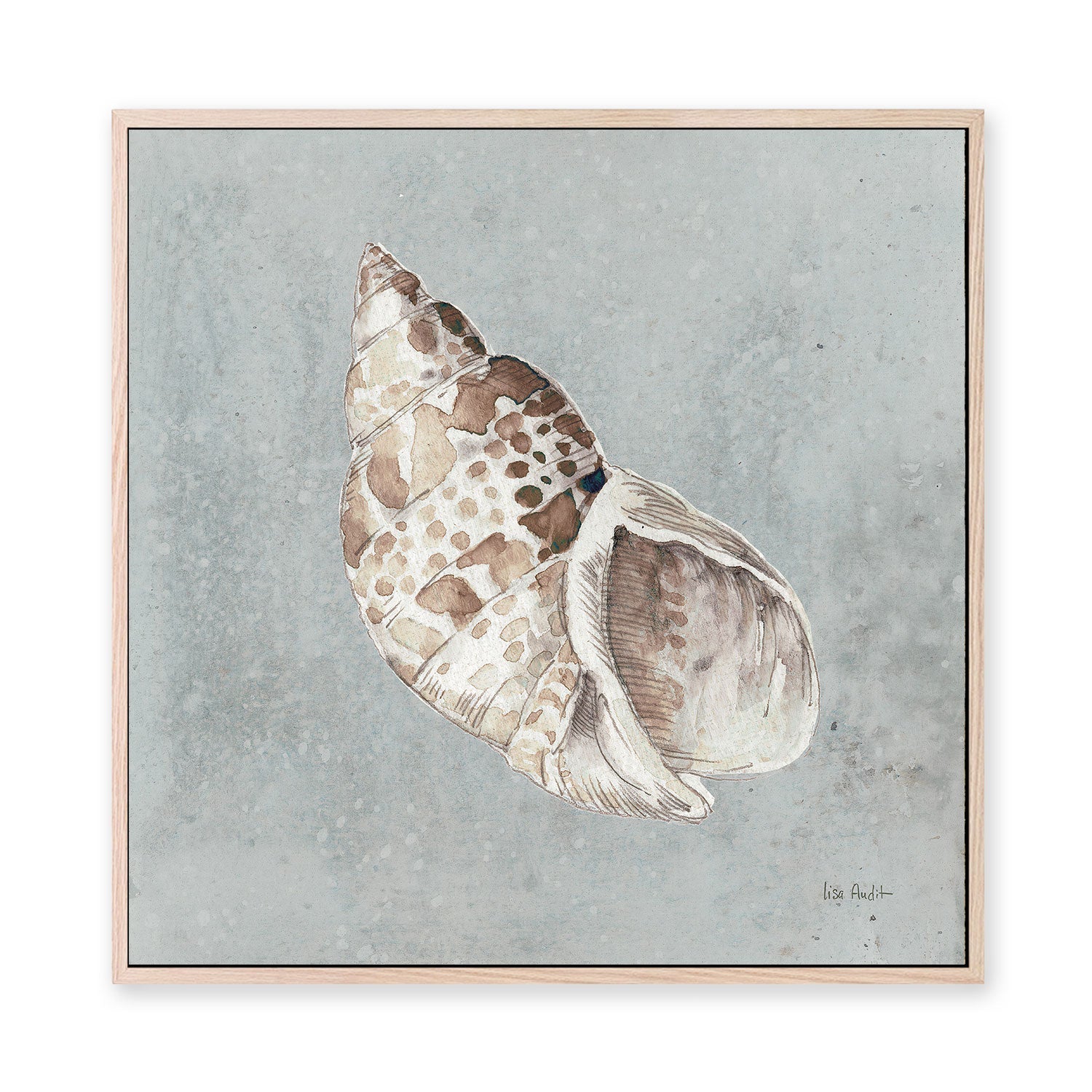 wall-art-print-canvas-poster-framed-Sand And Seashells, Style B , By Lisa Audit-GIOIA-WALL-ART