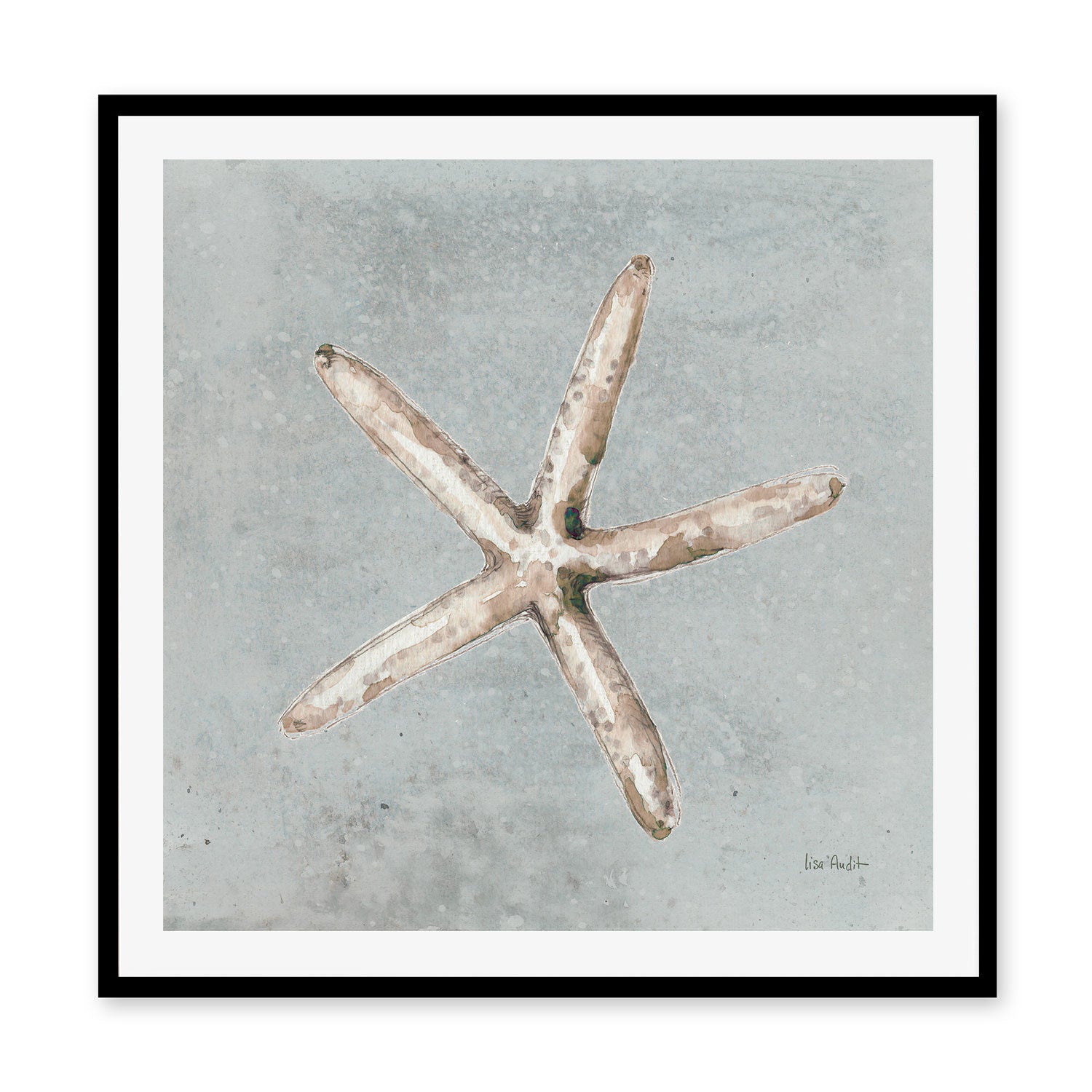 wall-art-print-canvas-poster-framed-Sand And Seashells, Style C , By Lisa Audit-GIOIA-WALL-ART
