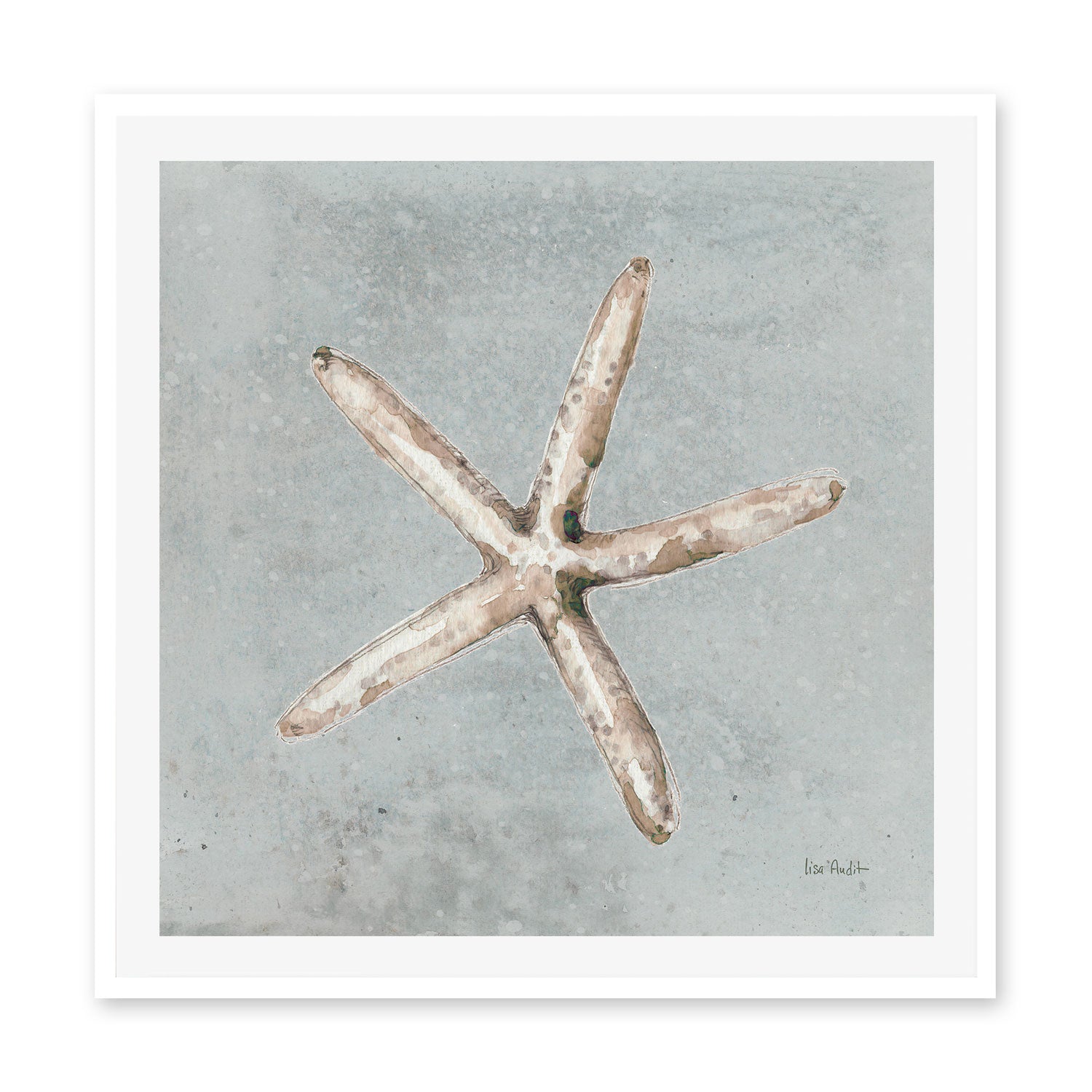 wall-art-print-canvas-poster-framed-Sand And Seashells, Style C , By Lisa Audit-GIOIA-WALL-ART
