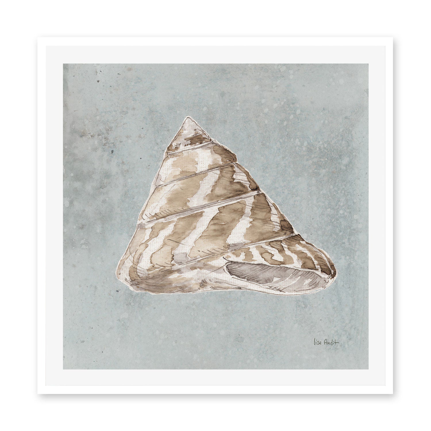 wall-art-print-canvas-poster-framed-Sand And Seashells, Style D , By Lisa Audit-GIOIA-WALL-ART