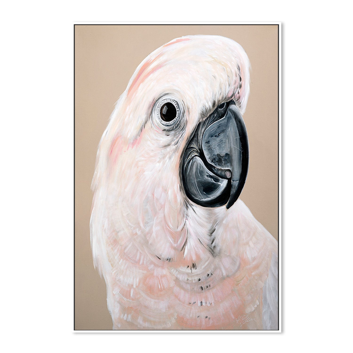 wall-art-print-canvas-poster-framed-Sand Cockatoo , By Heylie Morris-GIOIA-WALL-ART
