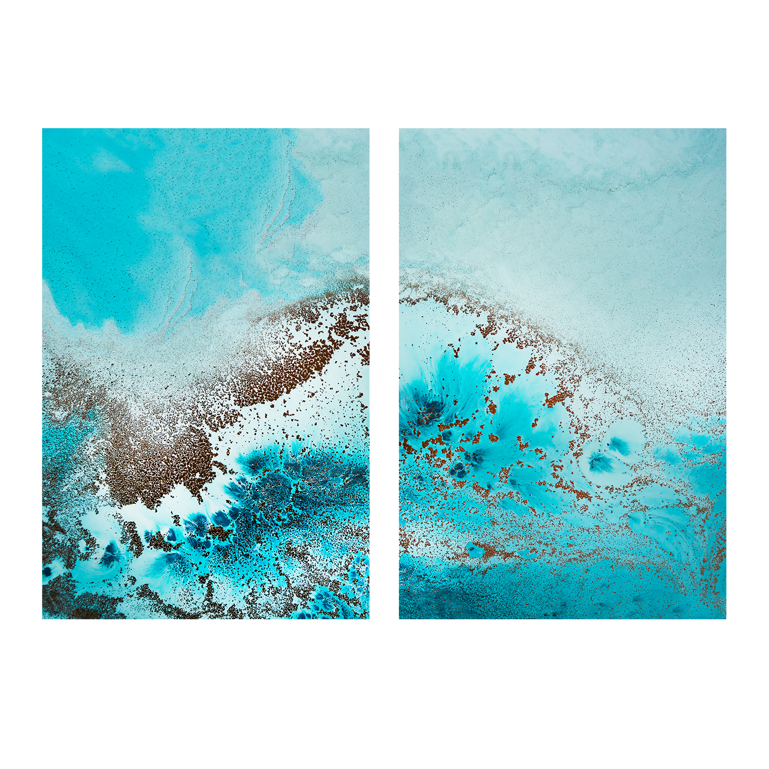 wall-art-print-canvas-poster-framed-Sea Life, Style A & B, Set Of 2 , By Petra Meikle-1