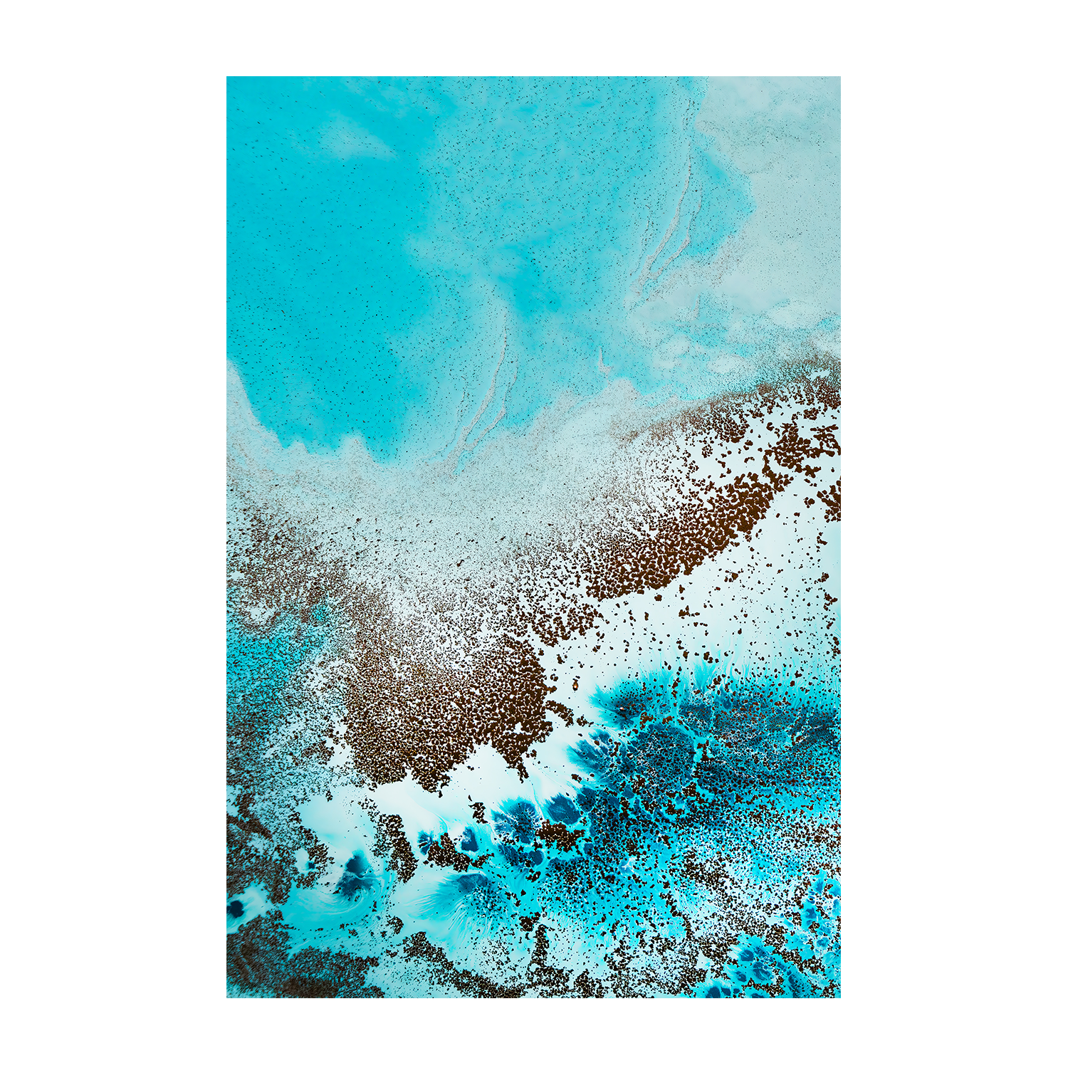wall-art-print-canvas-poster-framed-Sea Life, Style A , By Petra Meikle-1