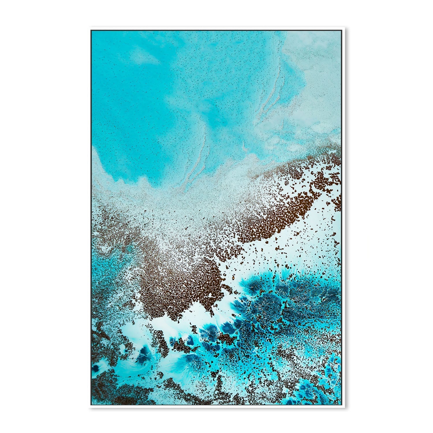 wall-art-print-canvas-poster-framed-Sea Life, Style A , By Petra Meikle-5