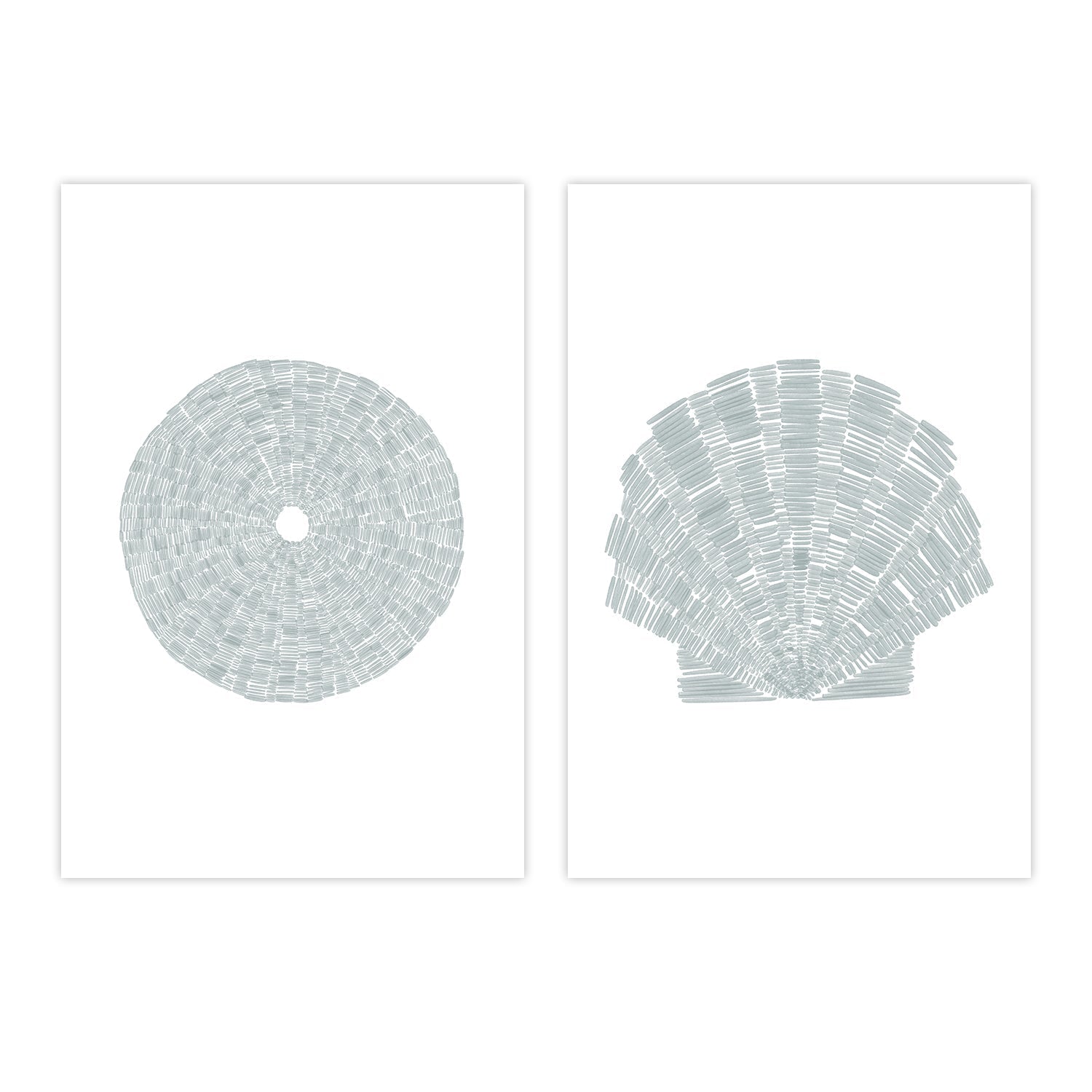 wall-art-print-canvas-poster-framed-Sea Urchin-Deconstrated Scallop Shell , Set Of 2, By Jetty Home , By Jetty Home-1