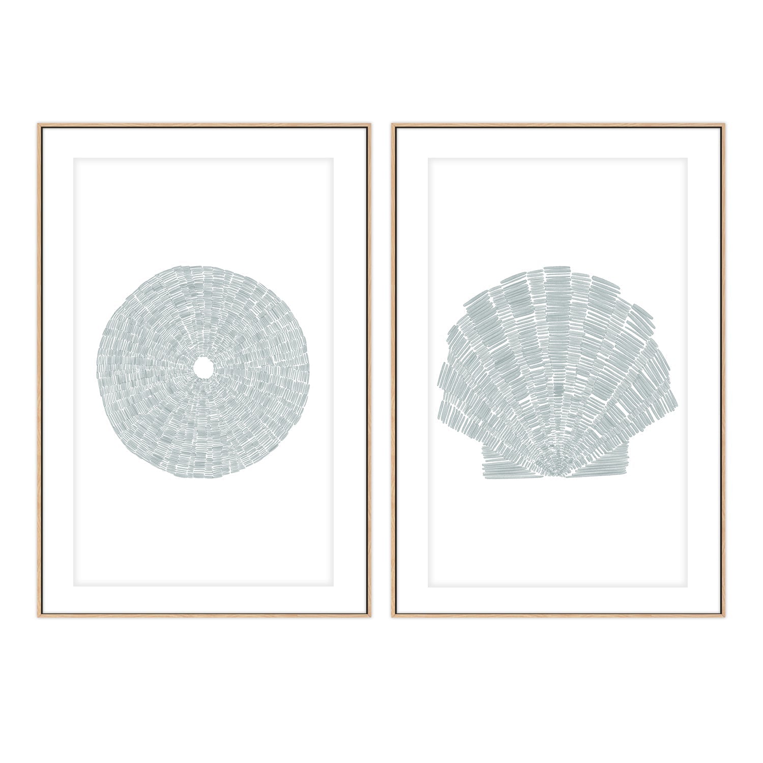 wall-art-print-canvas-poster-framed-Sea Urchin-Deconstrated Scallop Shell , Set Of 2, By Jetty Home , By Jetty Home-6