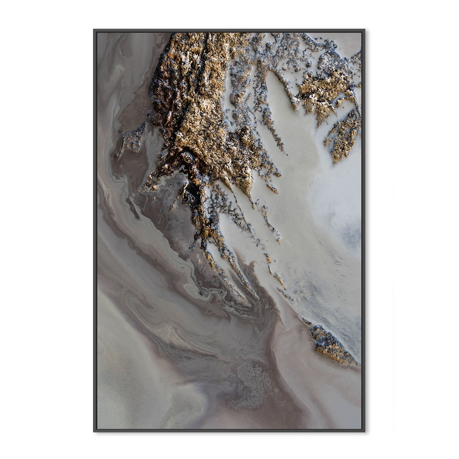 wall-art-print-canvas-poster-framed-Serendipity, Style B , By Petra Meikle-3