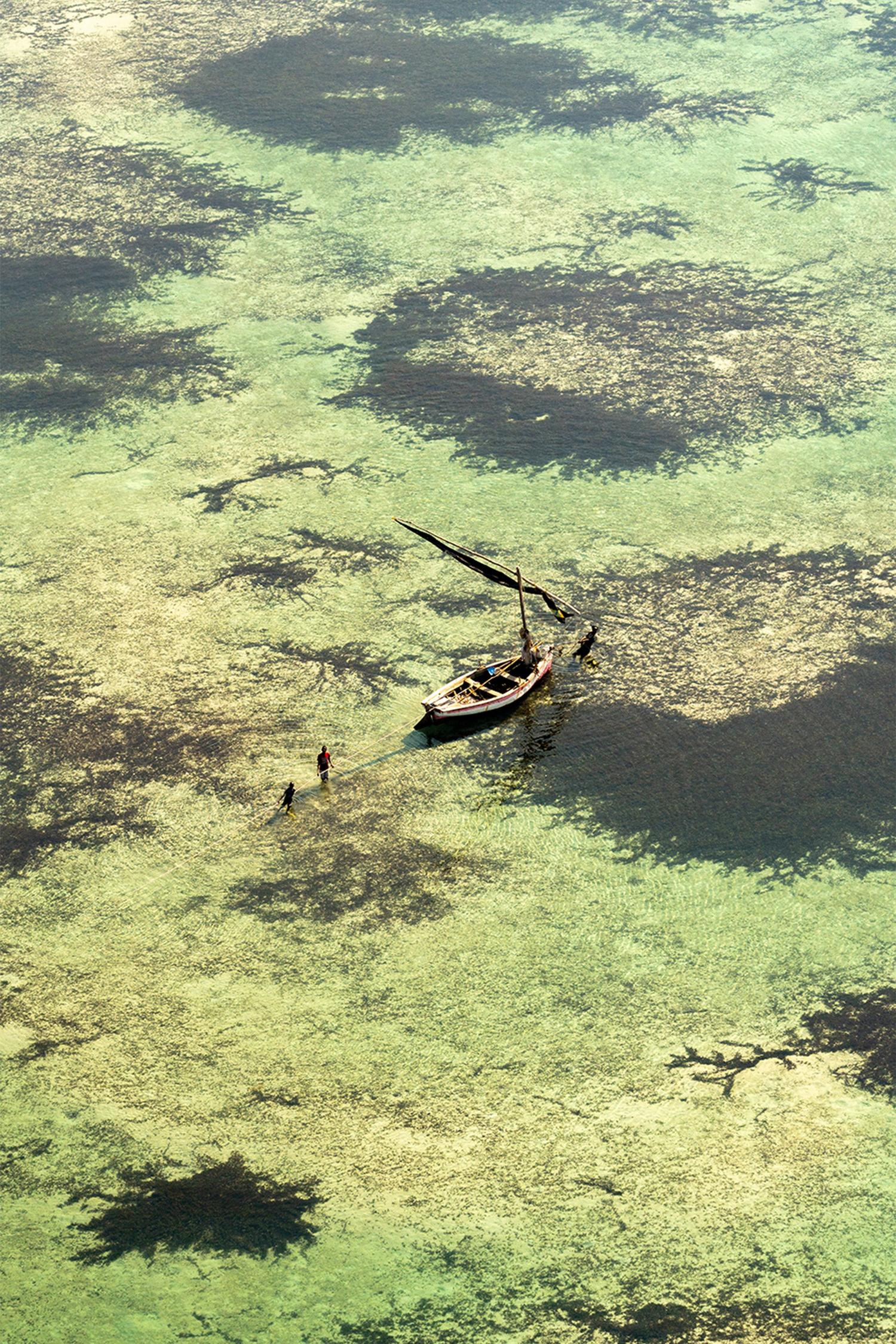 wall-art-print-canvas-poster-framed-Shallow Fishing-1