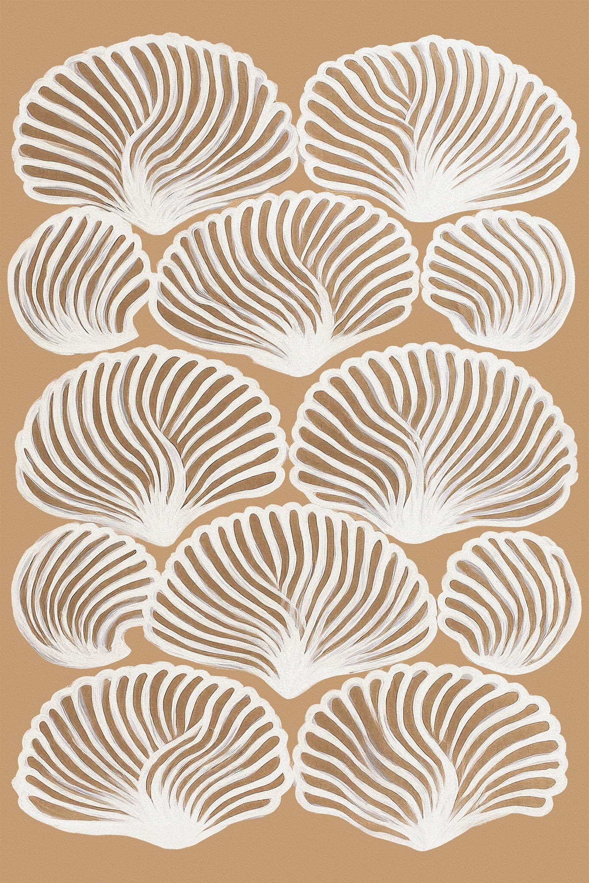 Shell Pattern