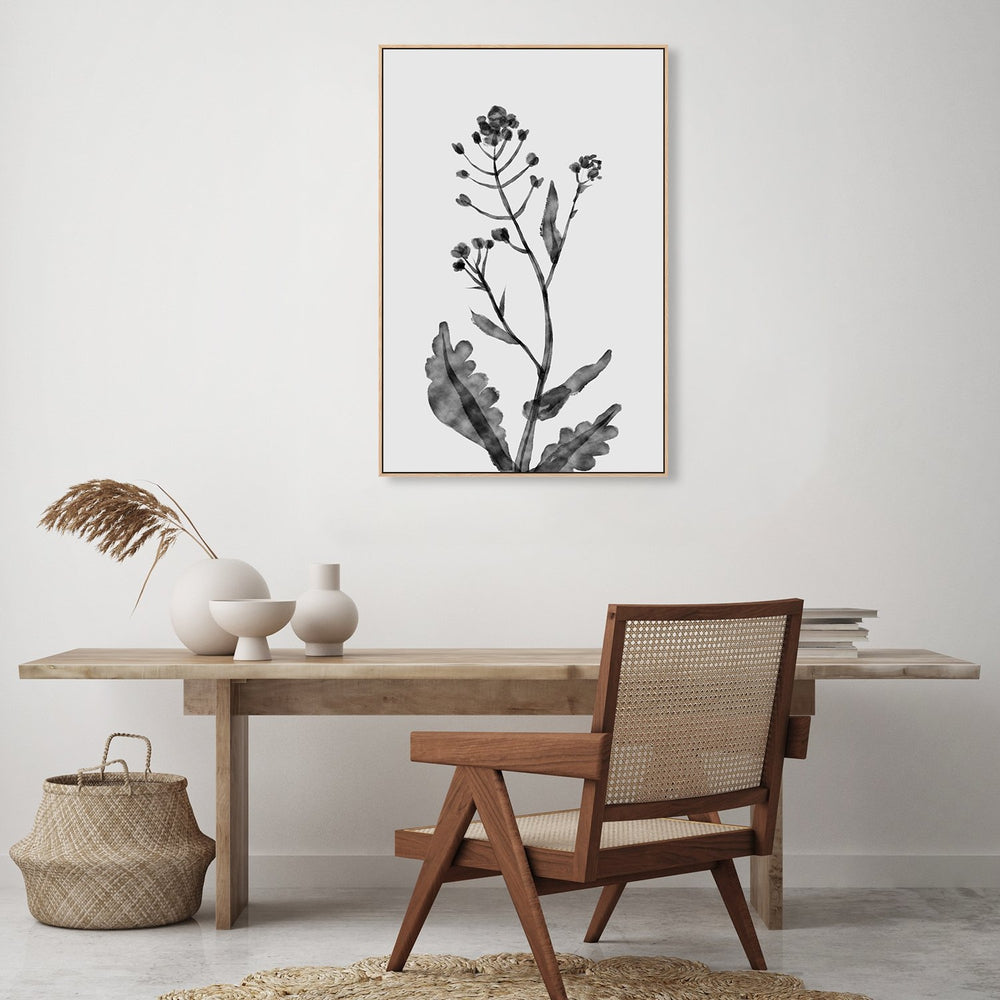 wall-art-print-canvas-poster-framed-Shephards Purse , By Dan Hobday-by-Dan Hobday-Gioia Wall Art