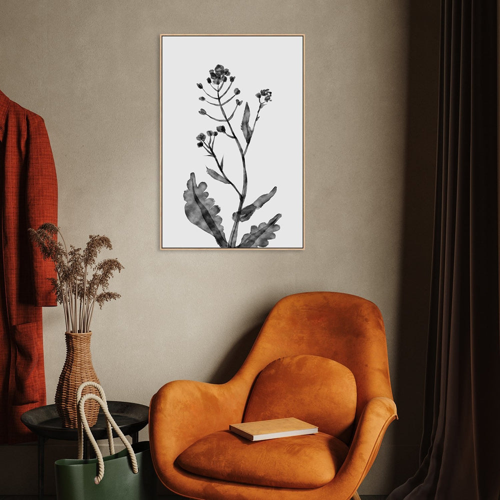 wall-art-print-canvas-poster-framed-Shephards Purse , By Dan Hobday-by-Dan Hobday-Gioia Wall Art