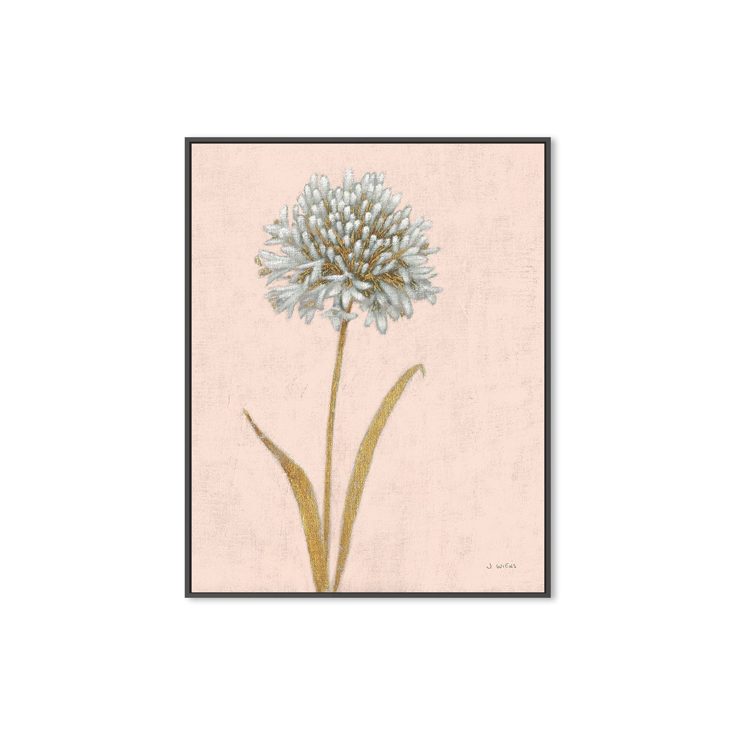 wall-art-print-canvas-poster-framed-Shimmering Summer I Blush Crop , By James Wiens-3