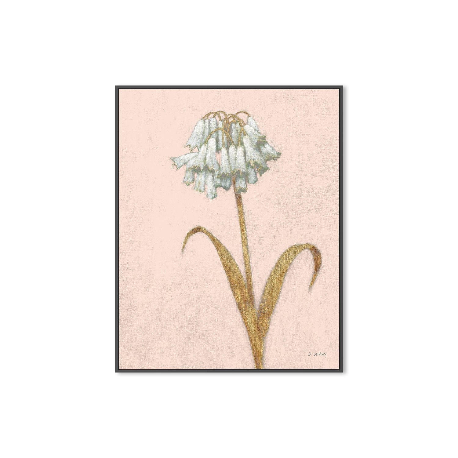 wall-art-print-canvas-poster-framed-Shimmering Summer II Blush Crop , By James Wiens-3