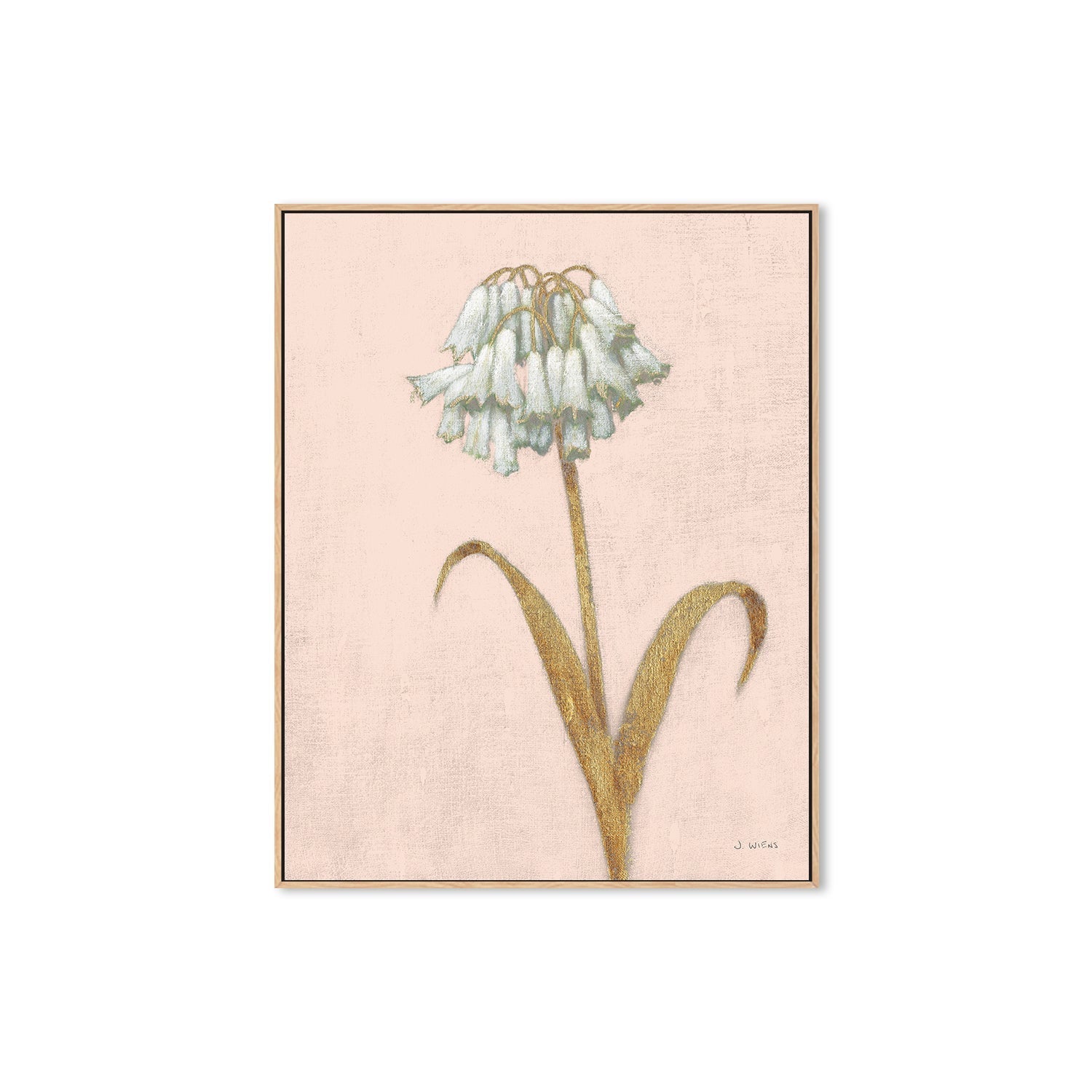 wall-art-print-canvas-poster-framed-Shimmering Summer II Blush Crop , By James Wiens-4