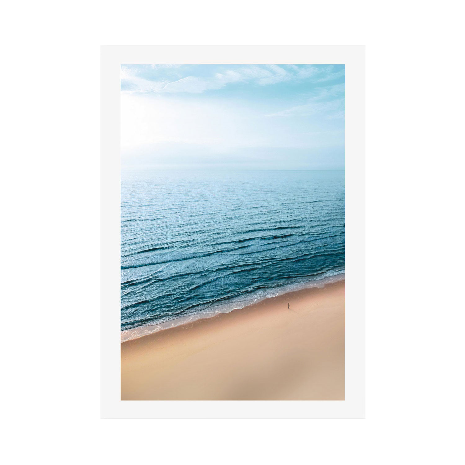 Shore Cuts