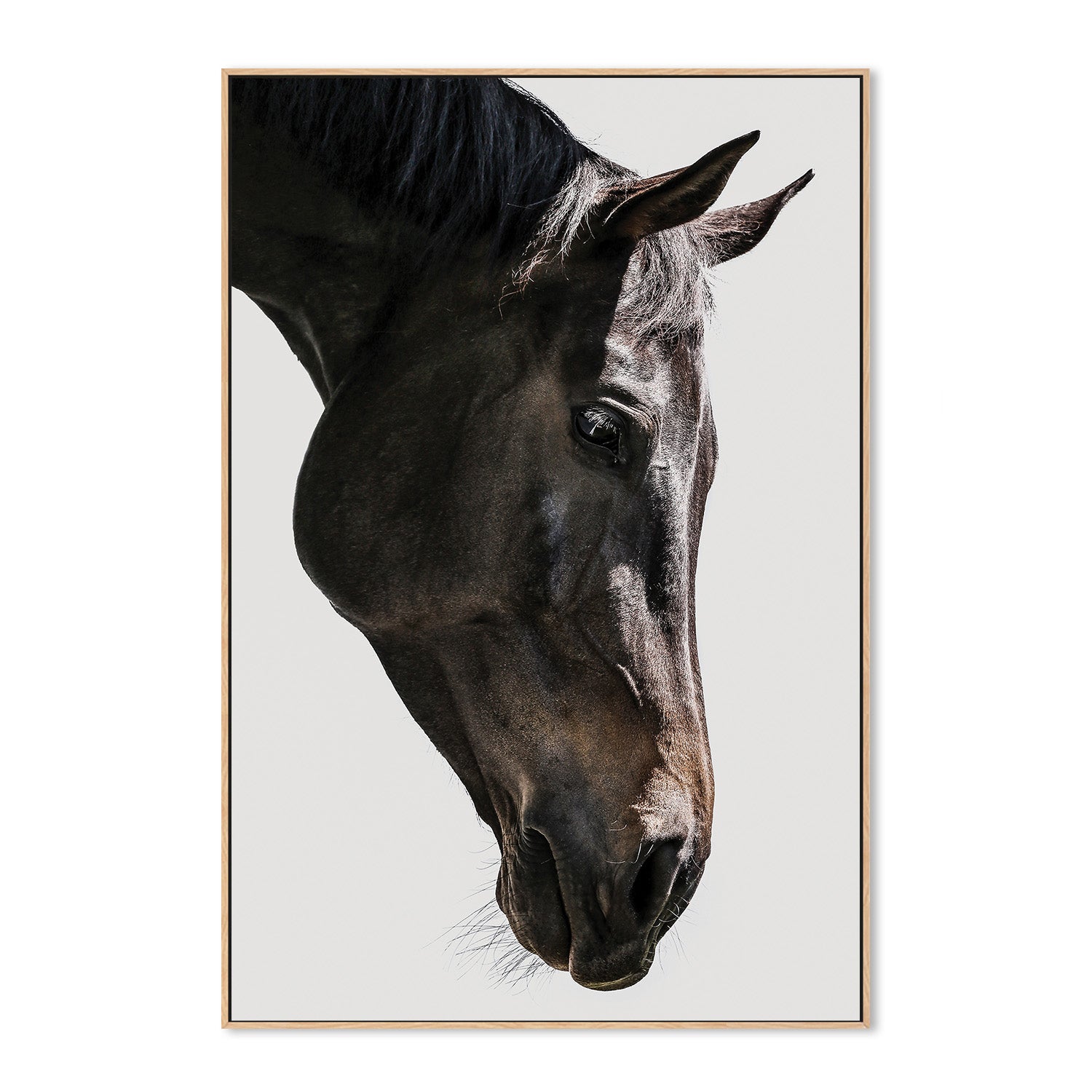 wall-art-print-canvas-poster-framed-Shot by Clint_2518354-4