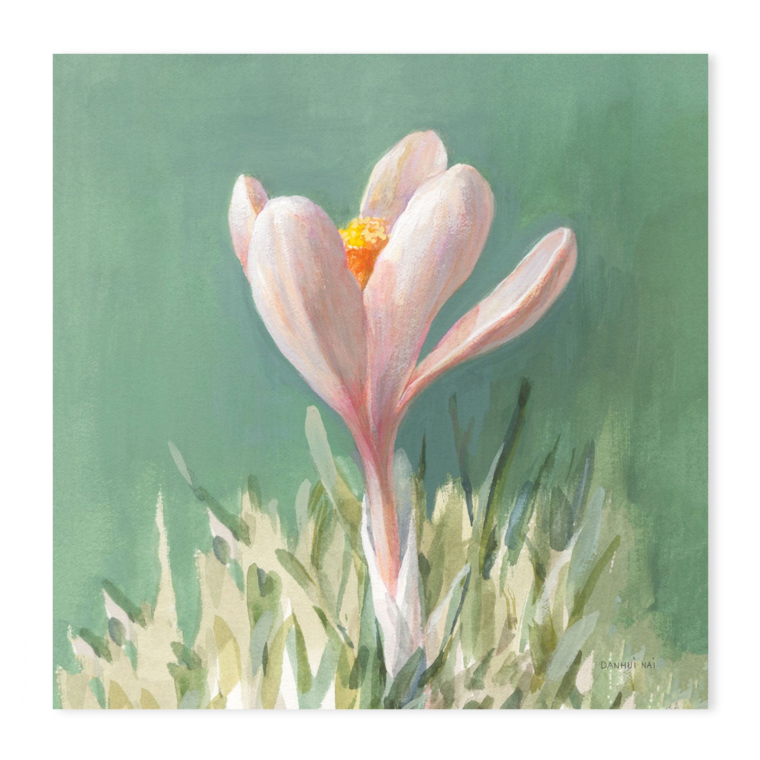 wall-art-print-canvas-poster-framed-Soft Crocus-by-Danhui Nai-Gioia Wall Art