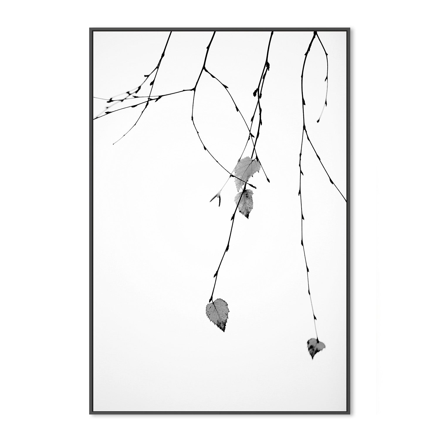 wall-art-print-canvas-poster-framed-Solo-3