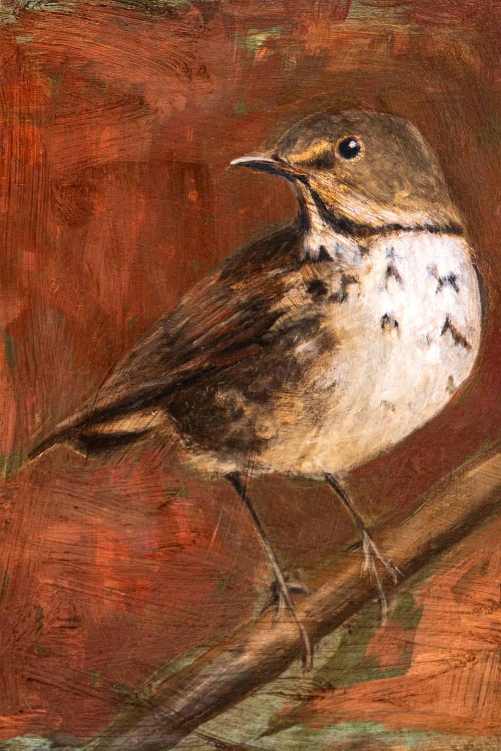 wall-art-print-canvas-poster-framed-Speckled Thrush Perched-1