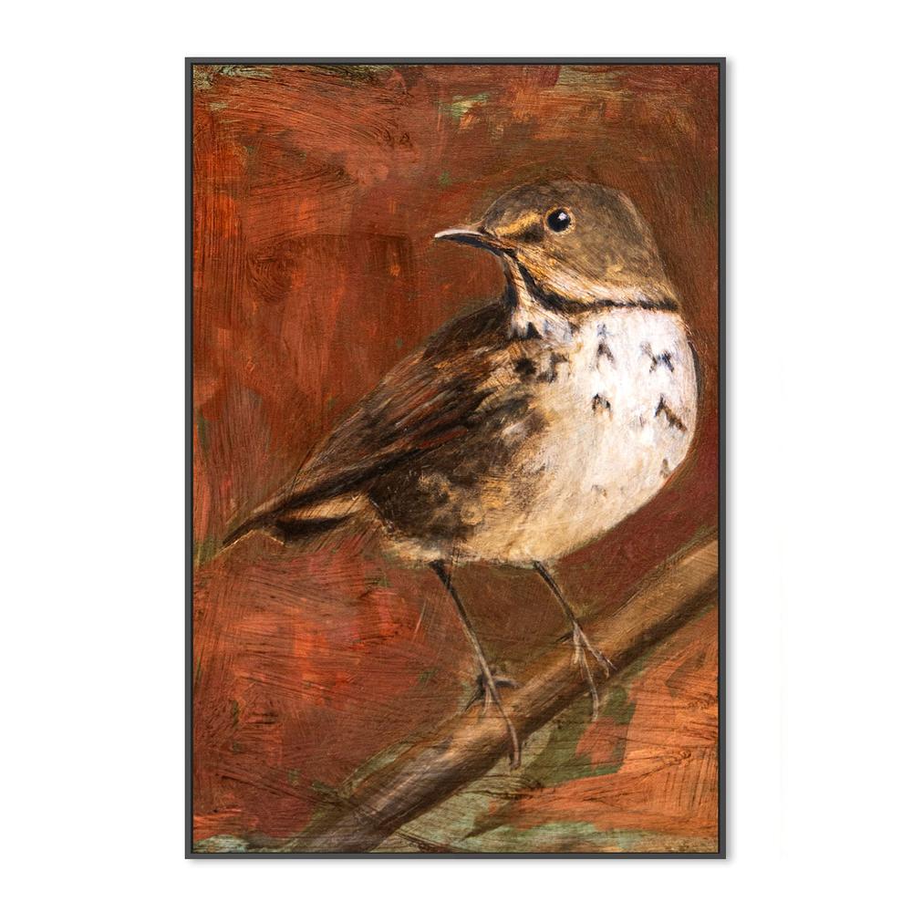 wall-art-print-canvas-poster-framed-Speckled Thrush Perched-3