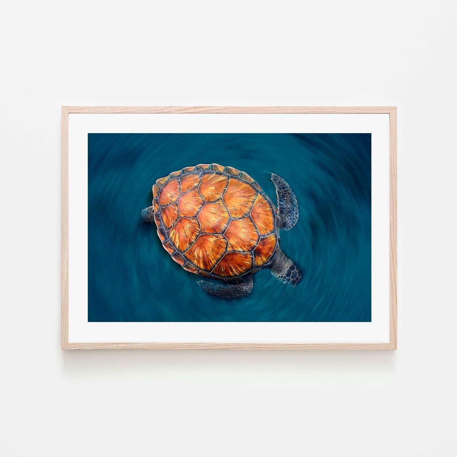 wall-art-print-canvas-poster-framed-Spin turtle, by Sergi Garcia-by-Plus X Studio-Gioia Wall Art