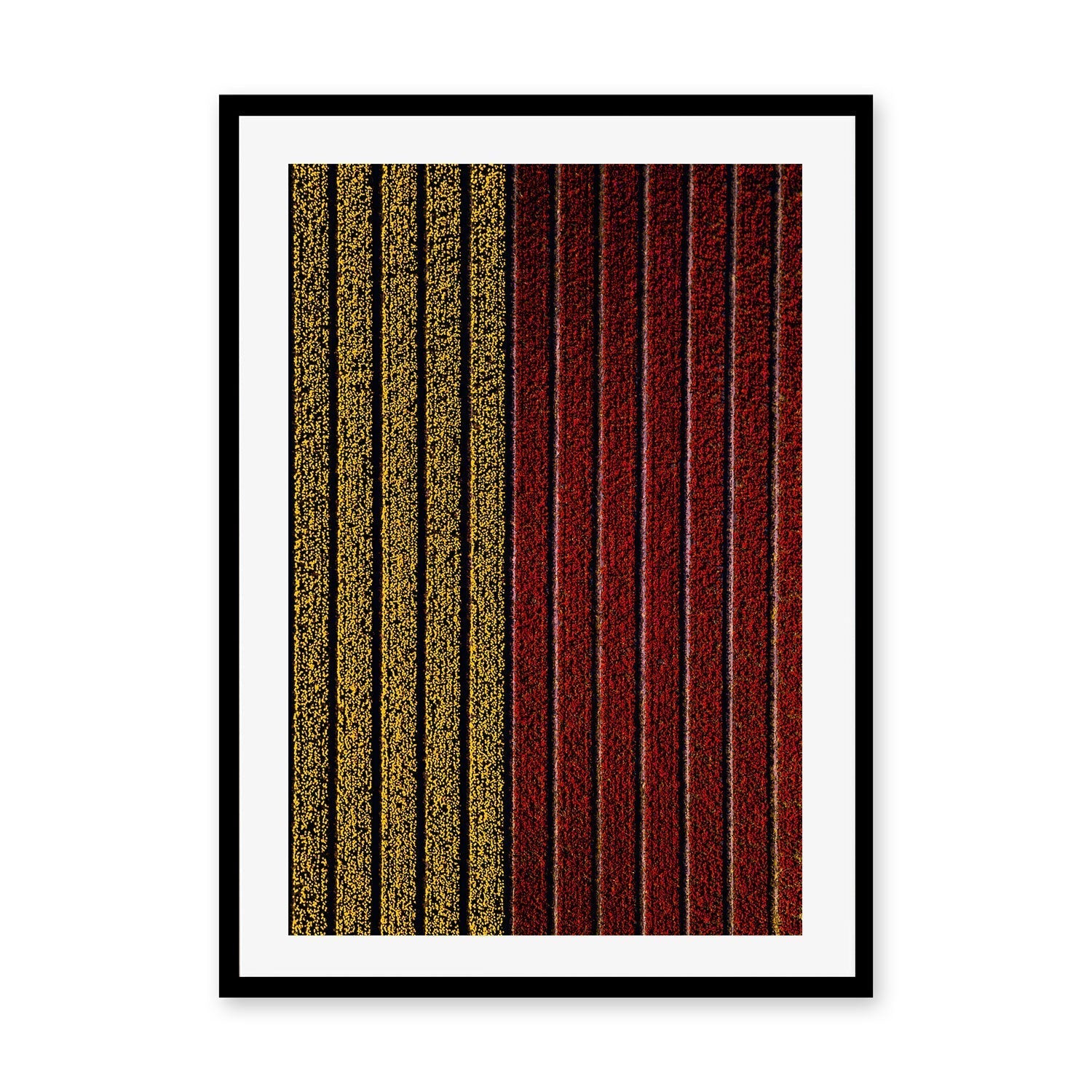 wall-art-print-canvas-poster-framed-Split , By Max Lissendon-GIOIA-WALL-ART