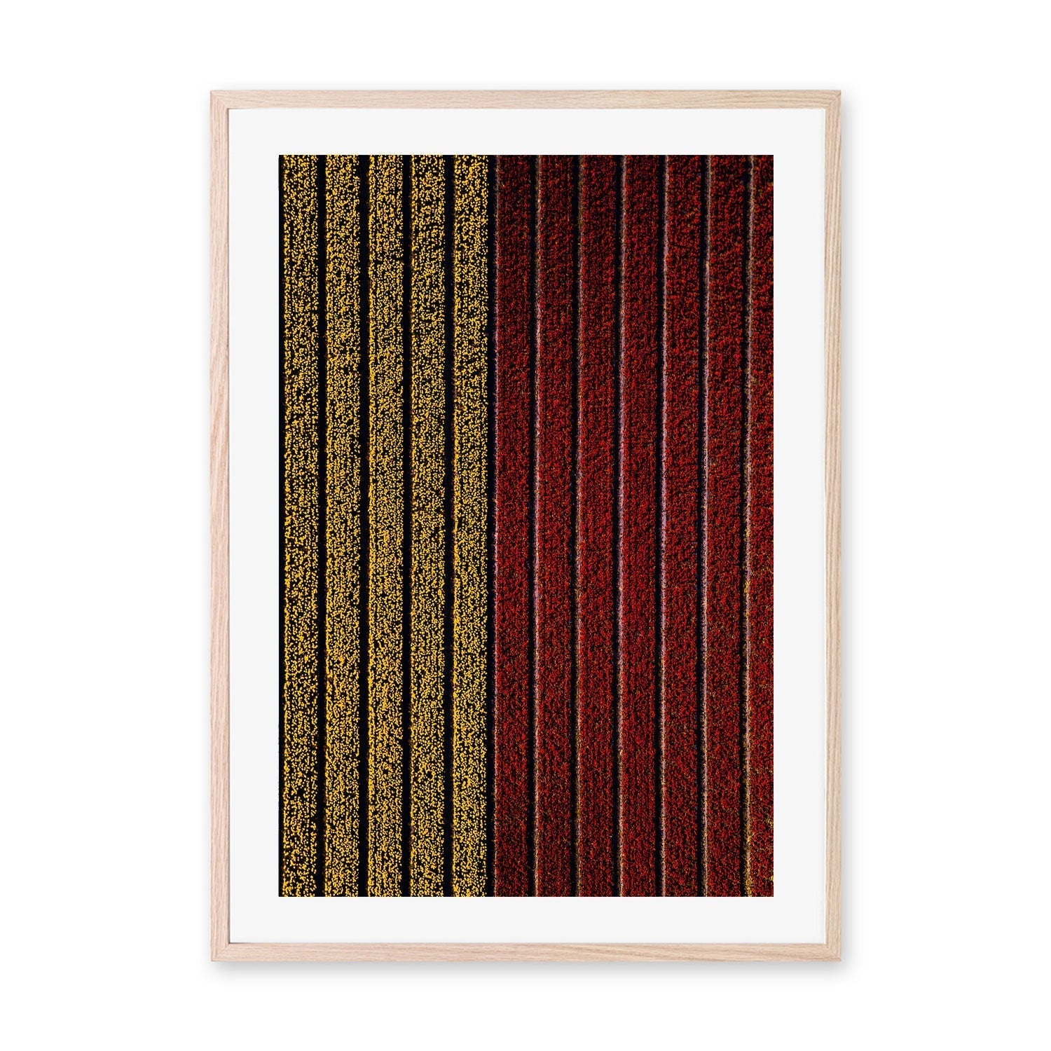 wall-art-print-canvas-poster-framed-Split , By Max Lissendon-GIOIA-WALL-ART