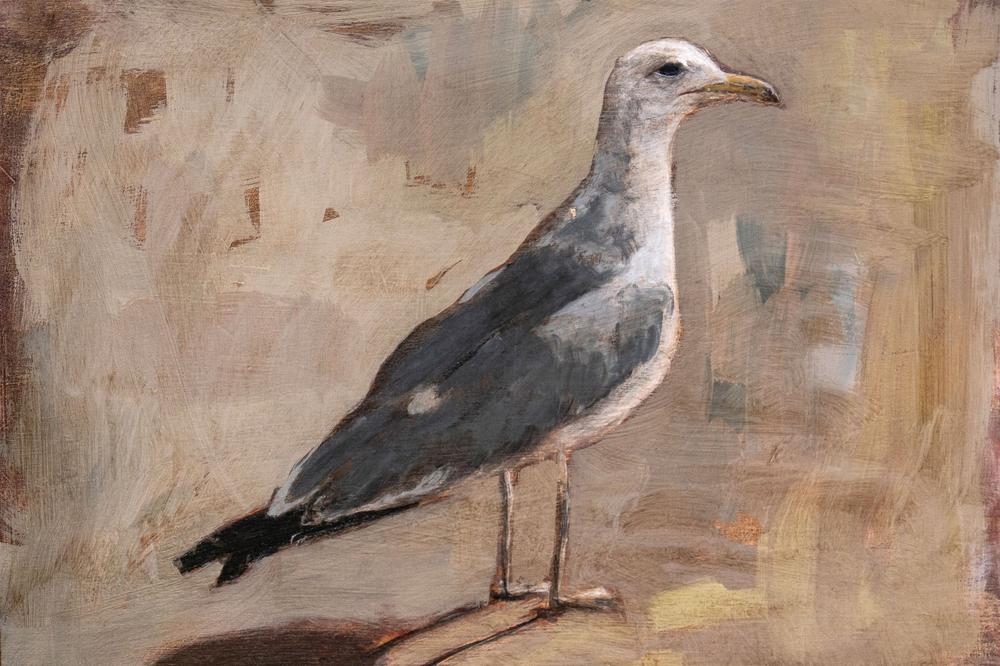 wall-art-print-canvas-poster-framed-Standing Seagull Portrait-1