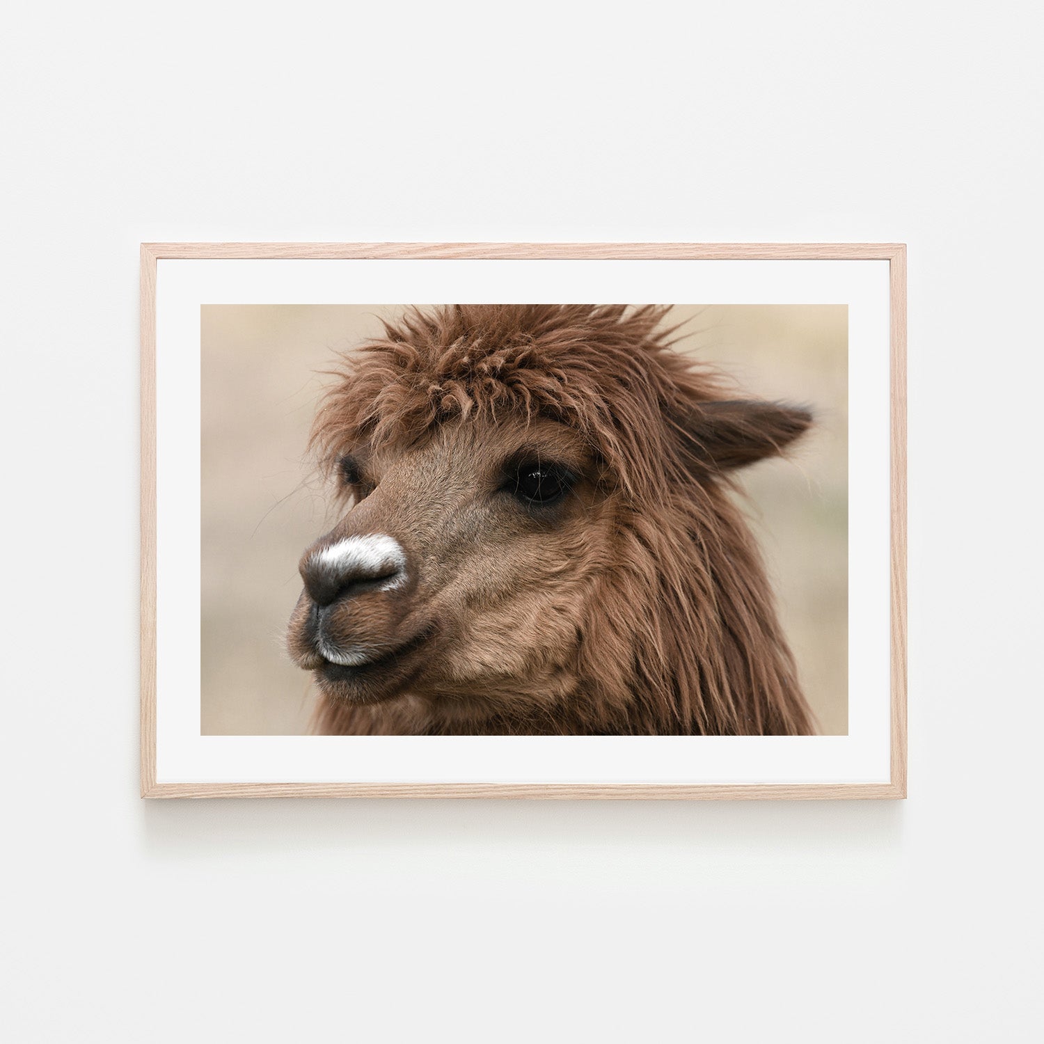 wall-art-print-canvas-poster-framed-Stephen, Style B , By Belinda Gerace-6