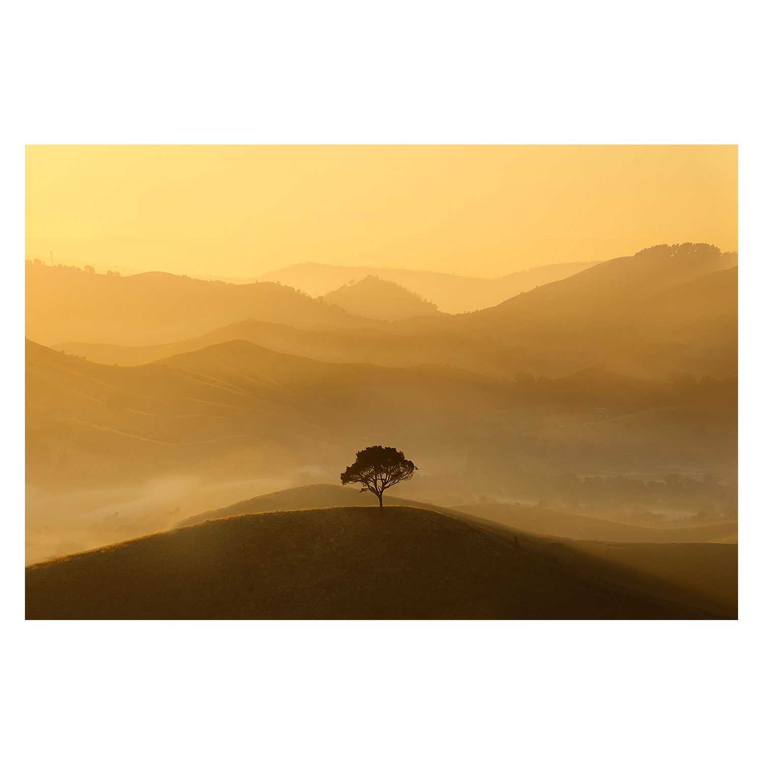 wall-art-print-canvas-poster-framed-Strathbogie Ranges, Victoria , By Christopher Cann-1