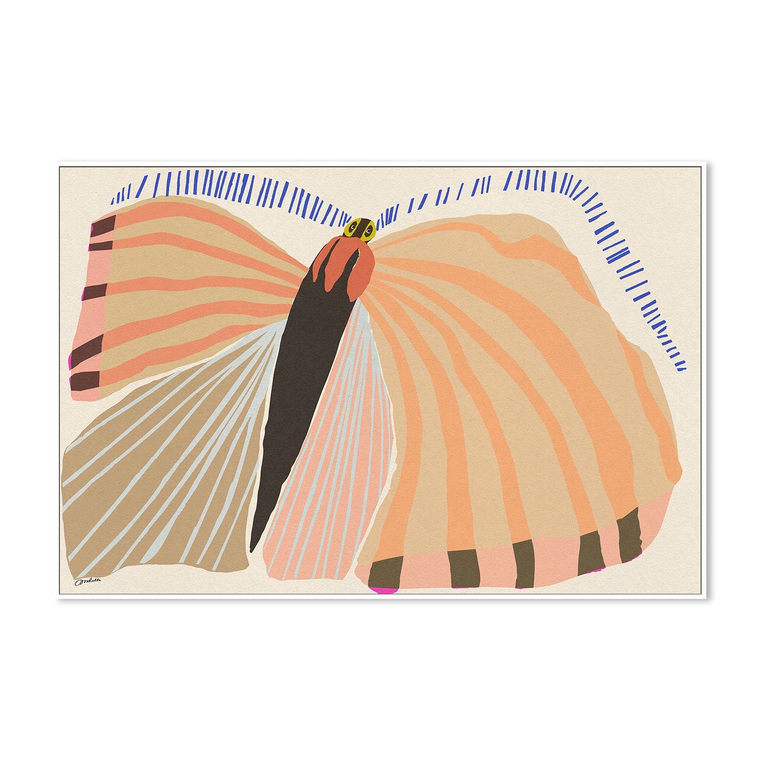 wall-art-print-canvas-poster-framed-Stripped Butterfly-5