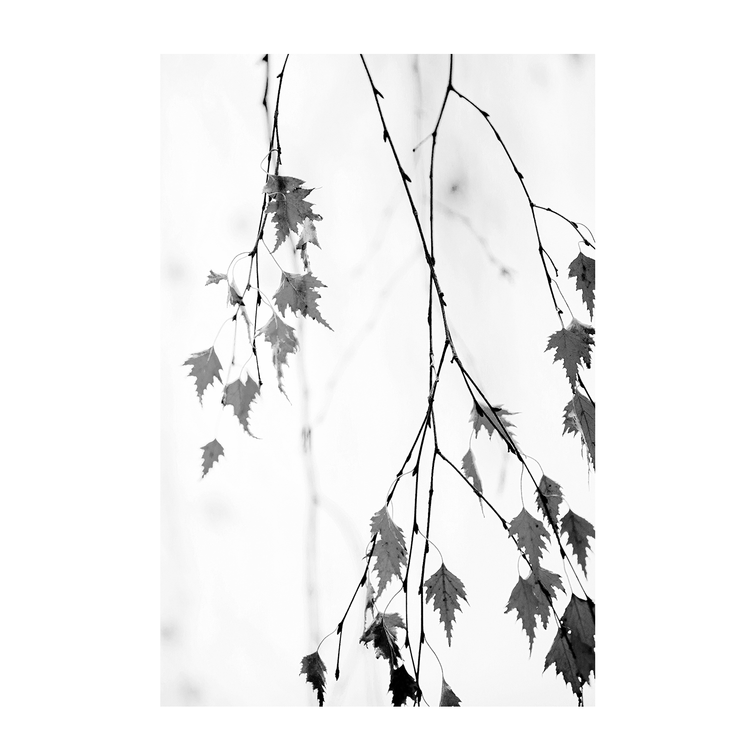 wall-art-print-canvas-poster-framed-Subtle-1