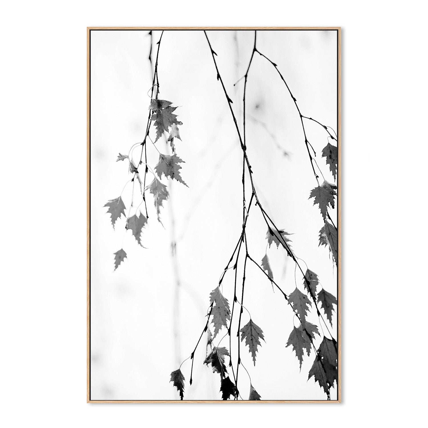 wall-art-print-canvas-poster-framed-Subtle-4