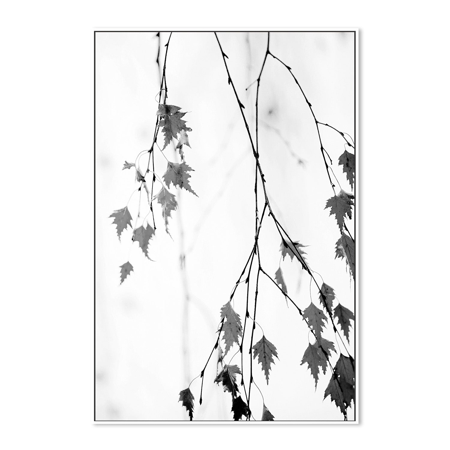 wall-art-print-canvas-poster-framed-Subtle-5