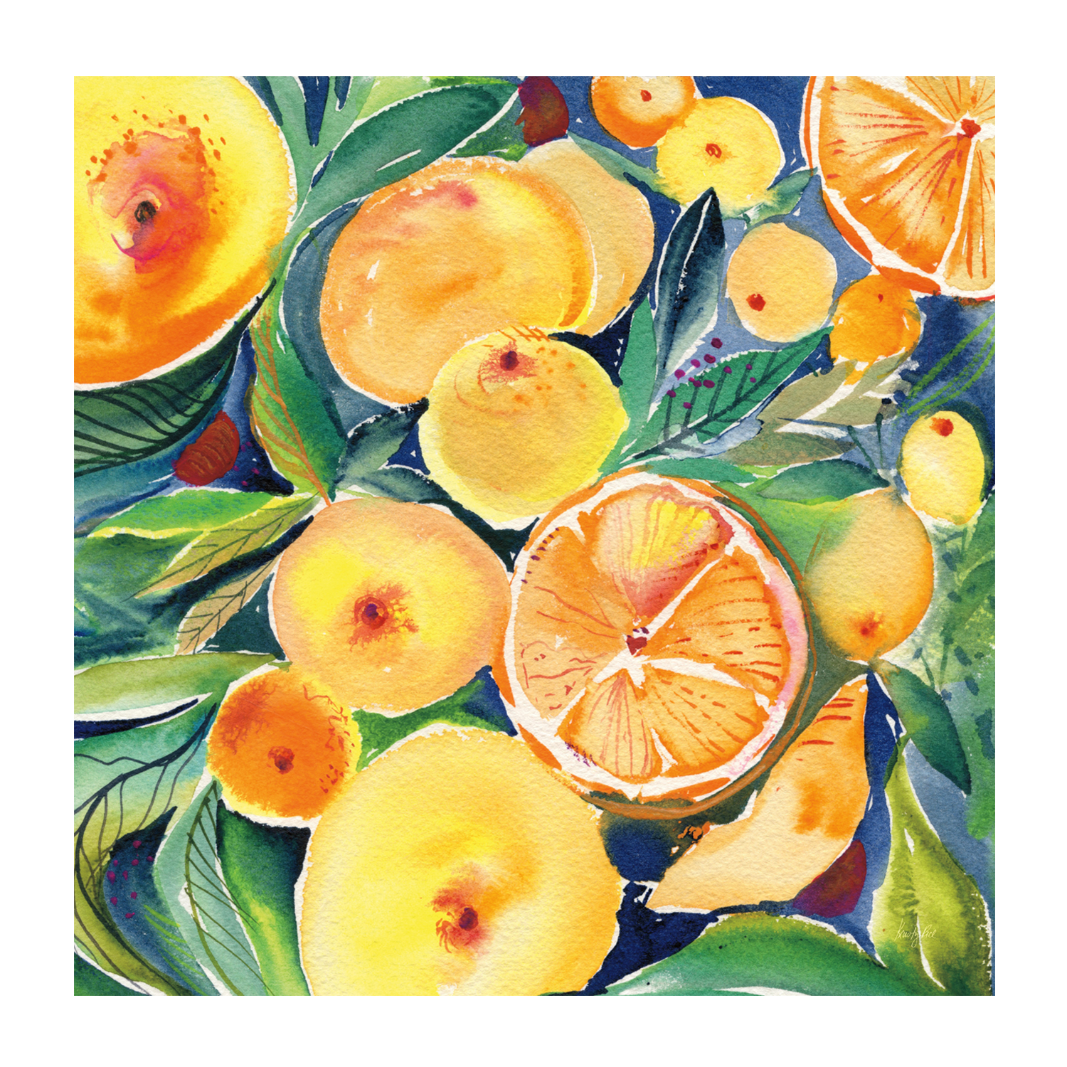 wall-art-print-canvas-poster-framed-Summery Citrus , By Kristy Rice-1