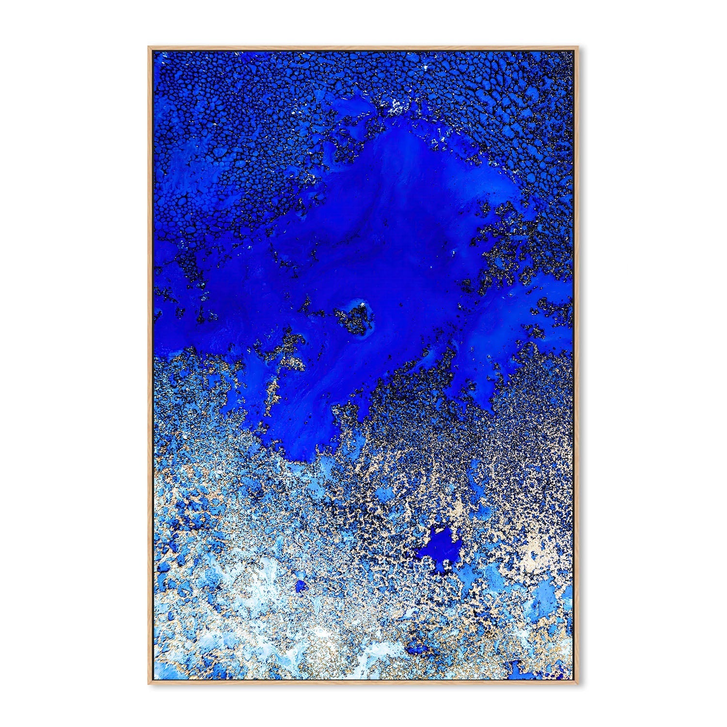 wall-art-print-canvas-poster-framed-Sunlit Reef, Style A , By Petra Meikle-4