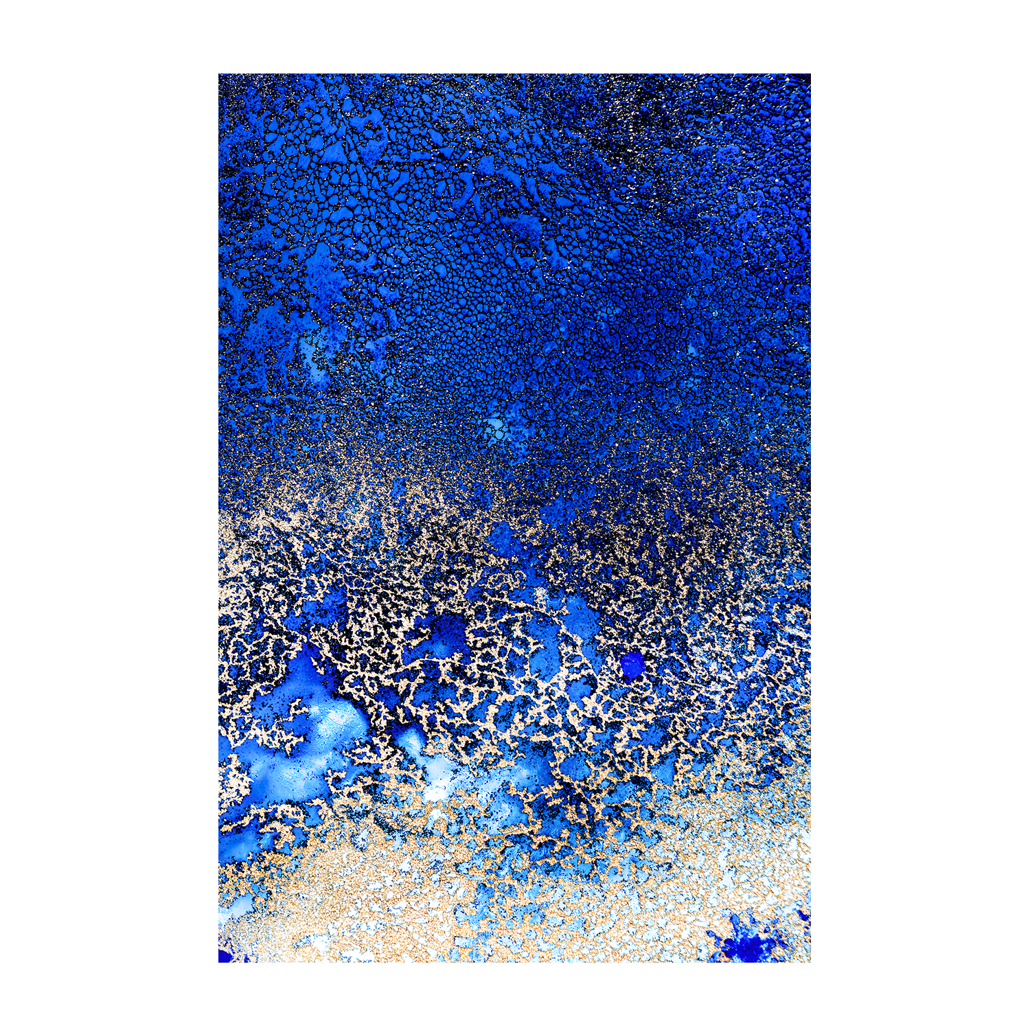 wall-art-print-canvas-poster-framed-Sunlit Reef, Style B , By Petra Meikle-1